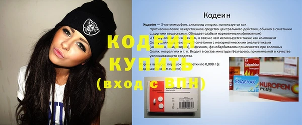 хмурый Абаза