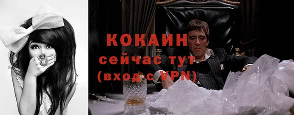 хмурый Абаза