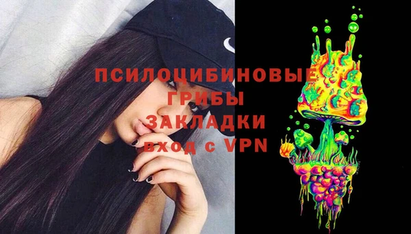 шишки Протвино