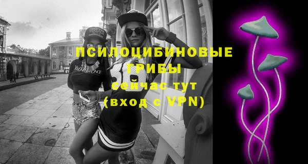 шишки Протвино