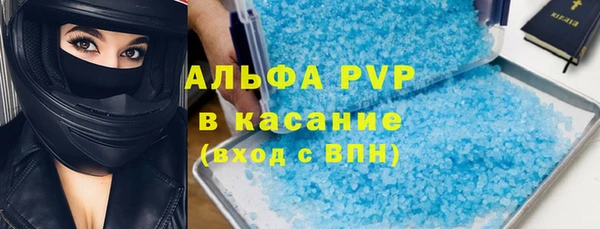 хмурый Абаза