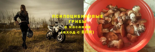 шишки Протвино