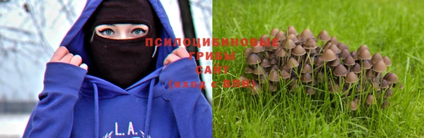 хмурый Абаза