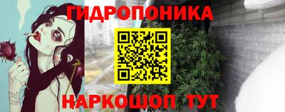 эйфоретик Славгород