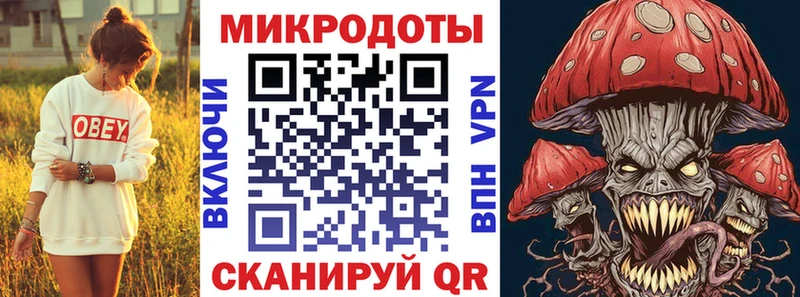 Галлюциногенные грибы Psilocybine cubensis как найти Сальск