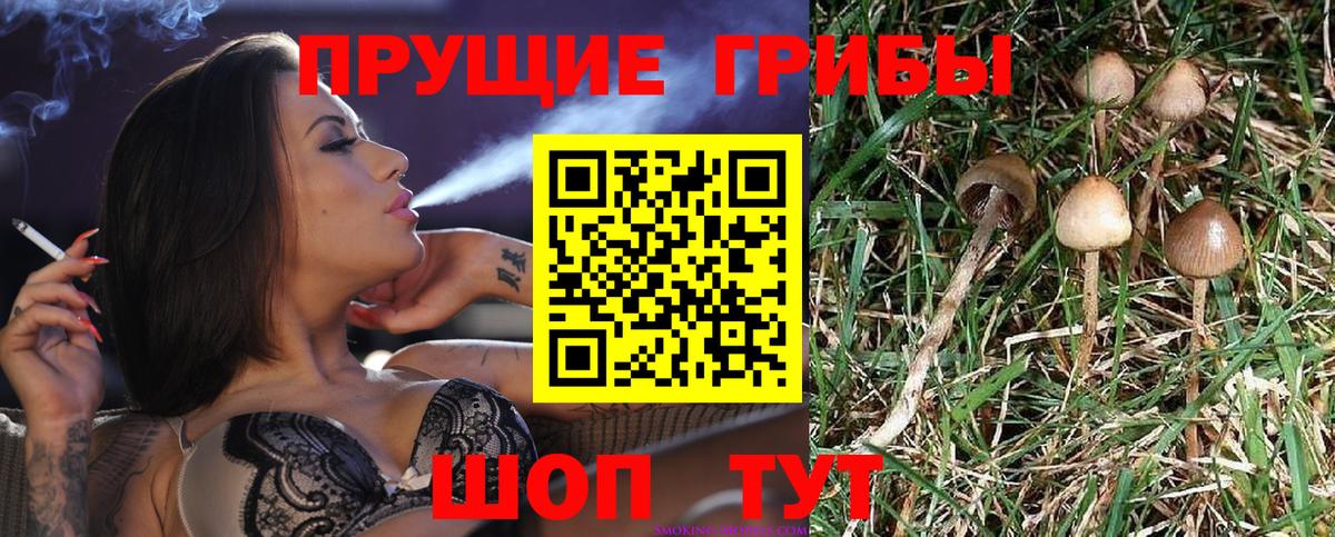Галлюциногенные грибы GOLDEN TEACHER Сальск