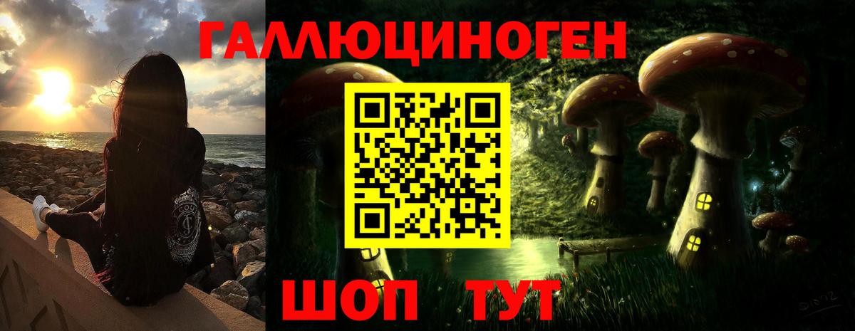 Галлюциногенные грибы прущие грибы  Псилоцибиновые грибы Psilocybine cubensis  Вход с VPN  Сальск 